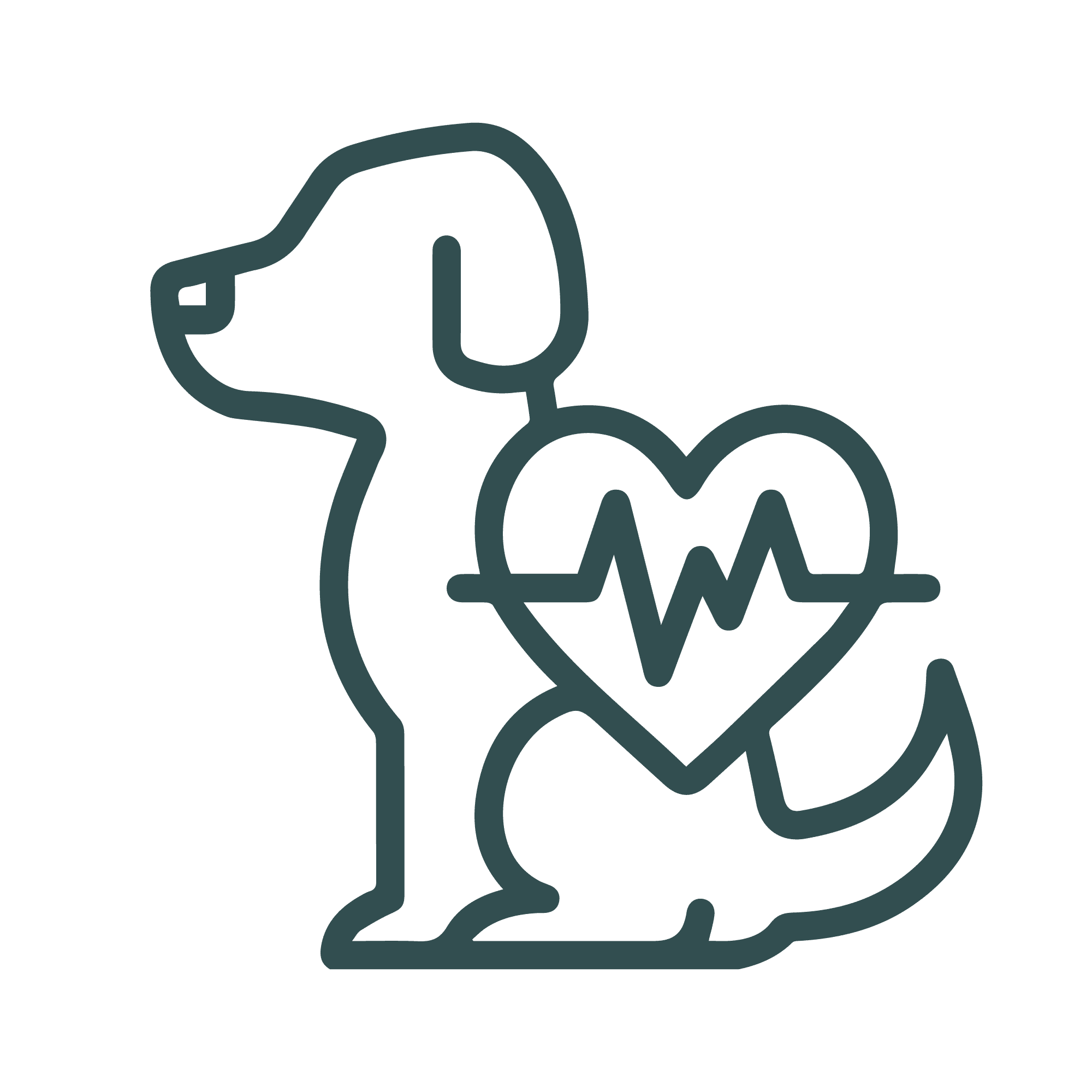 puppy heart health