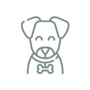 Blog-images–Infinity-Pups-march-25-ICON-2