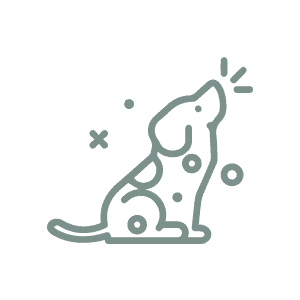 Blog-images–Infinity-Pups-march-25-ICON-6
