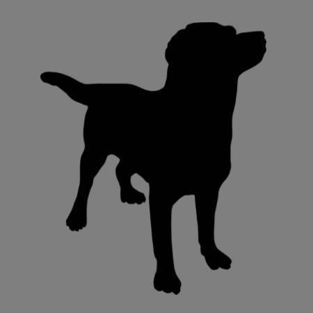 Olde English Bulldogge puppies for sale