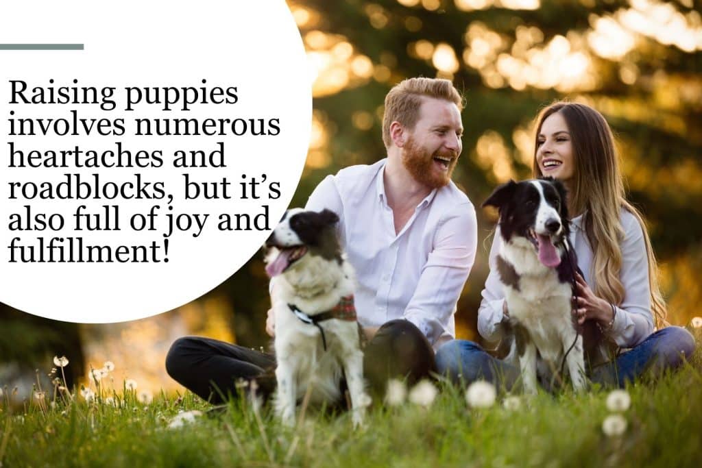 Text Graphic 1 raising puppies is hard but filled with joy
