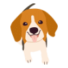 What Does It Take To Run A Successful Puppy Business_