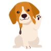 Why Start A Puppy Business_