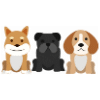 Cavachon Personality