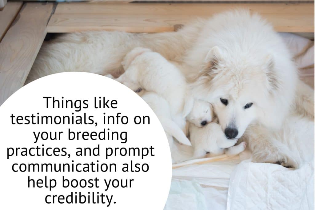 Text Graphic 1 boost communication