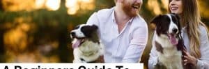 A Beginners Guide To Selling Puppies Online: Everything You Need To Know 2