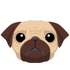 Exploring a Pug_s temperament
