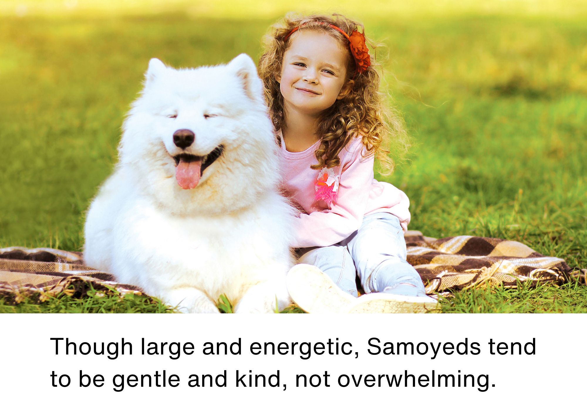 large and gentle