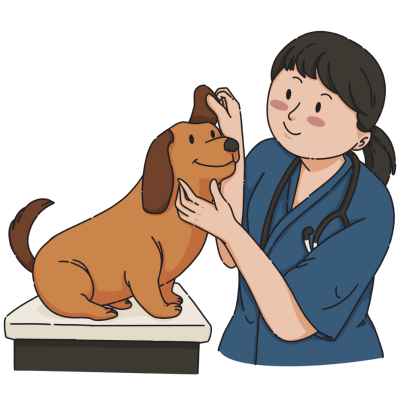 Vet