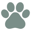 Alternate Breeds to Consider