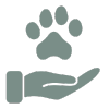 The Lifelong Commitment to Your Dog’s Welfare