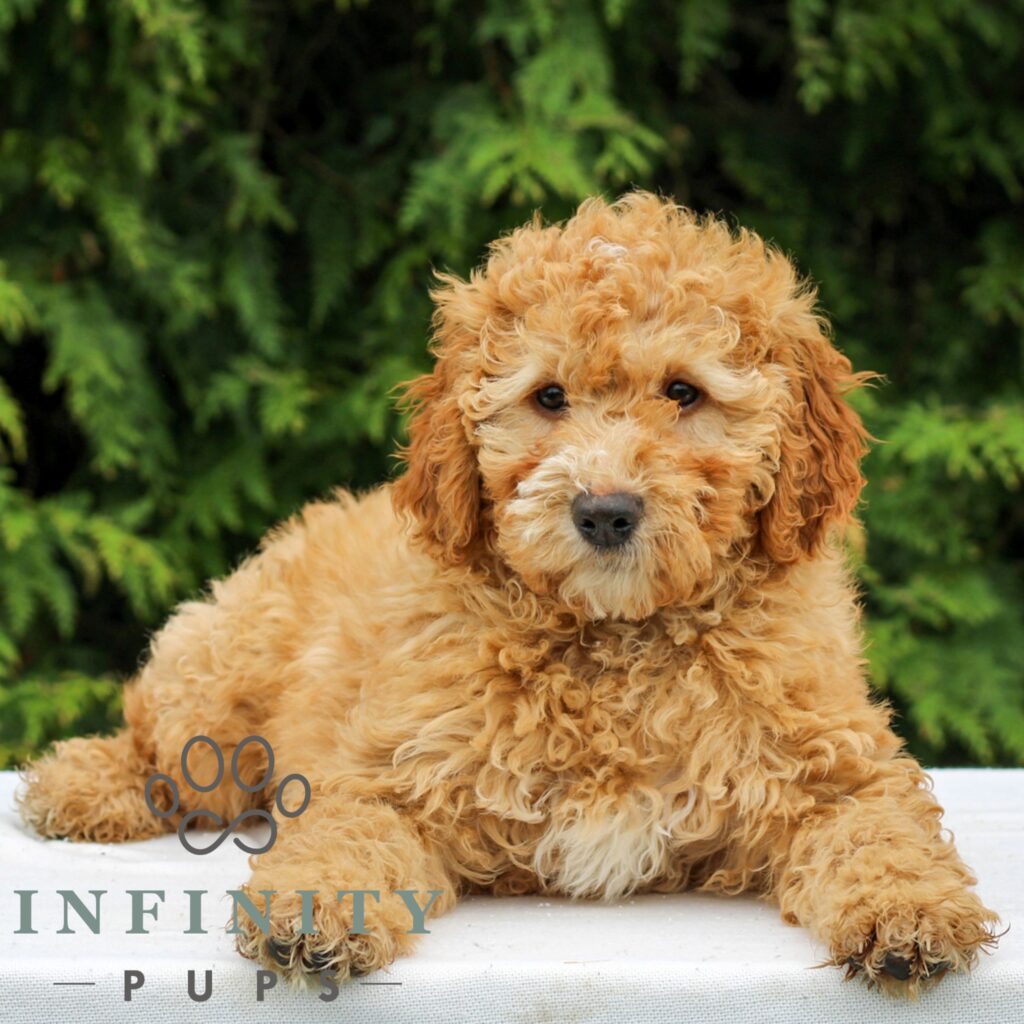 Cammie-F (6)