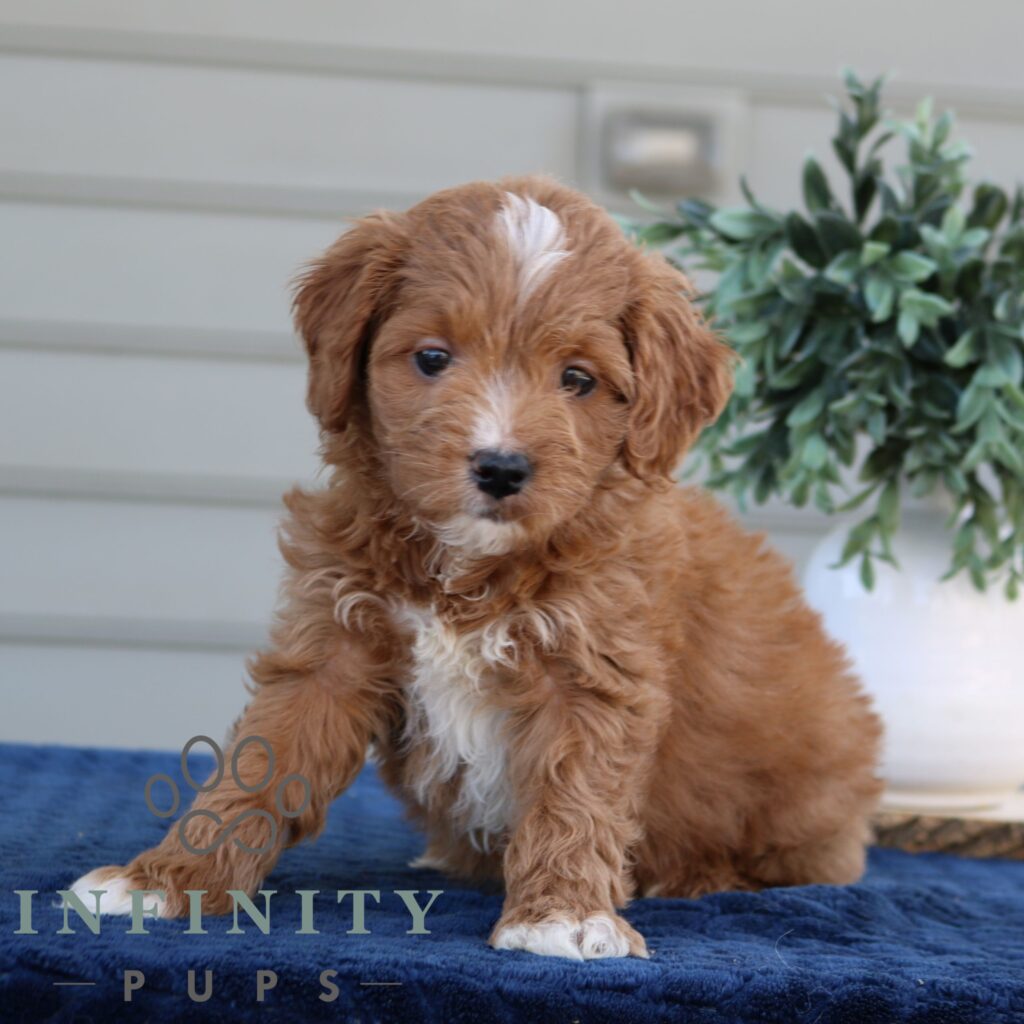 Mindy F (1)