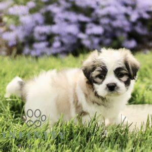 Breeds - Alt 19