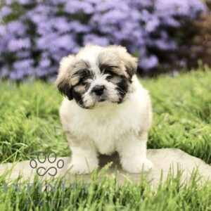 Breeds - Alt 29