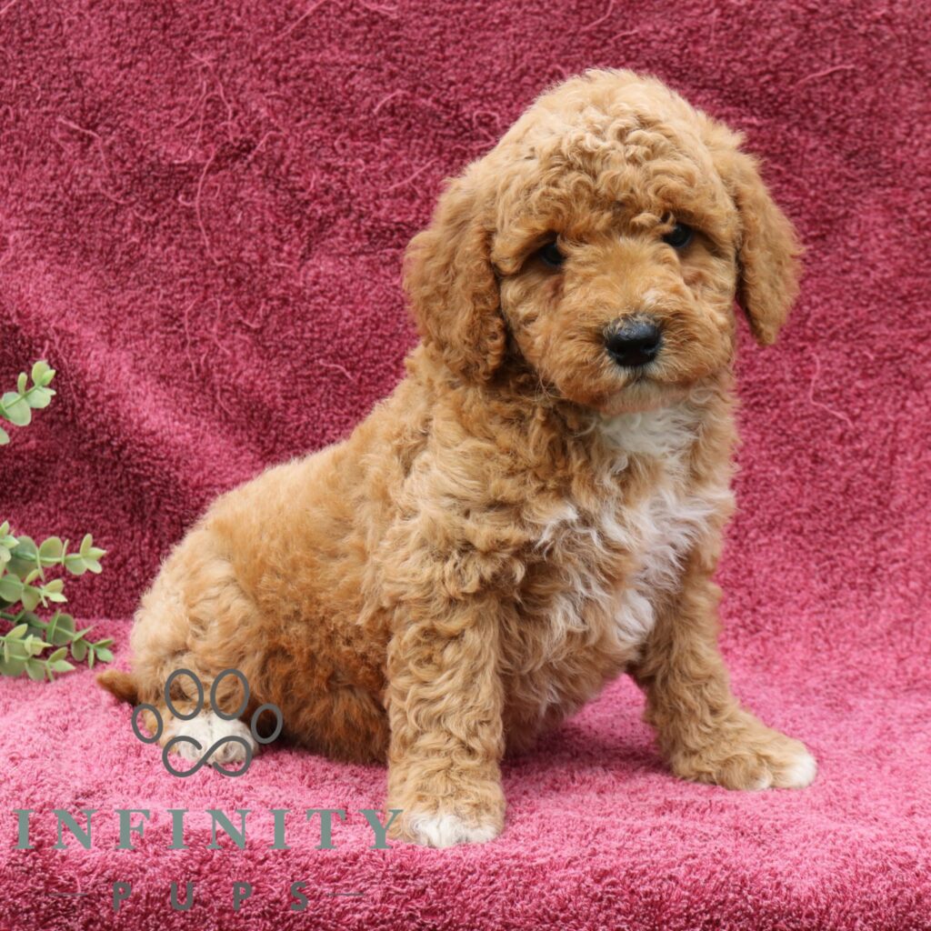 Easton M (4)