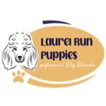 Profile picture of Laurel Run Puppies