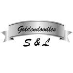 Profile picture of S&L Goldendoodles