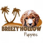 Profile picture of Breezy Hollow Puppies (Omar Lapp)