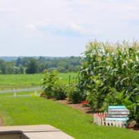 IMG_2177 