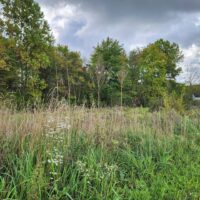 Home Photos (12) 