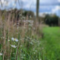 Home Photos (13) 