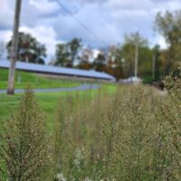 Home Photos (16) 