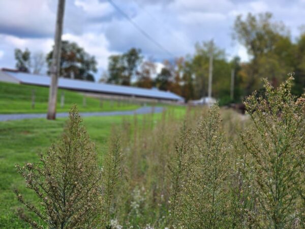 Home Photos (16)
