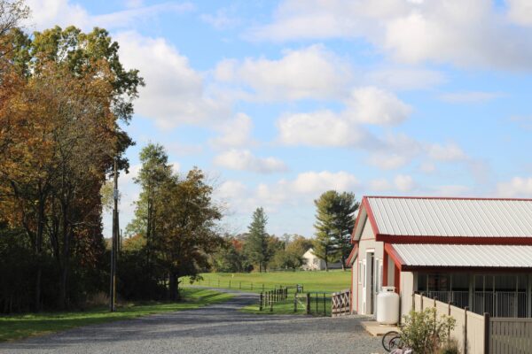 Home Photos (19)