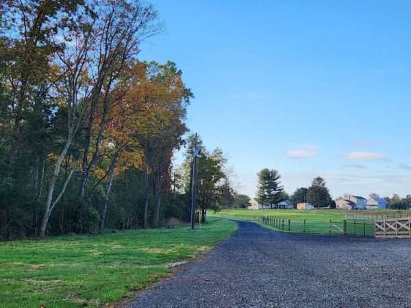 Home Photos (2)