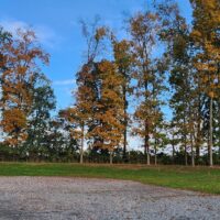 Home Photos (3) 