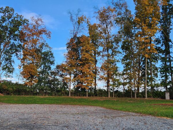 Home Photos (3)