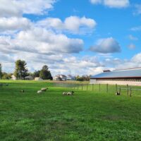 Home Photos (6) 