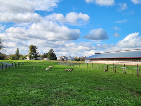 Home Photos (6)