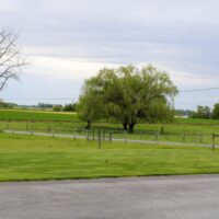 IMG_6996-2 
