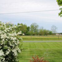 IMG_7009-2 