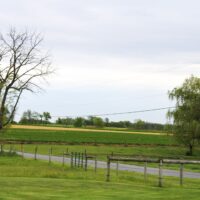 IMG_7010-2 
