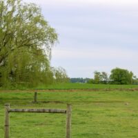 IMG_7012-2 