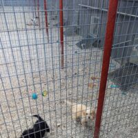 IMG_20241016_174419_180 