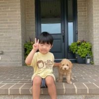 1dbdf90ab309c1656fe49f46daa7f8faad32b37e-5-350×350 
