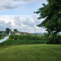 Home (1) 