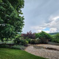 Home (11) 