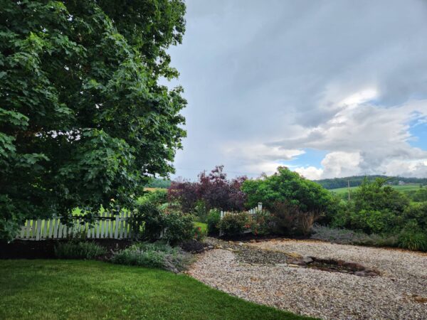 Home (11)