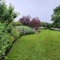 Home (16) 