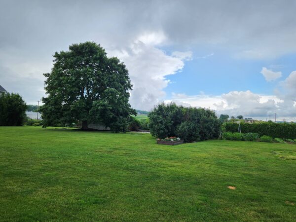 Home (3)
