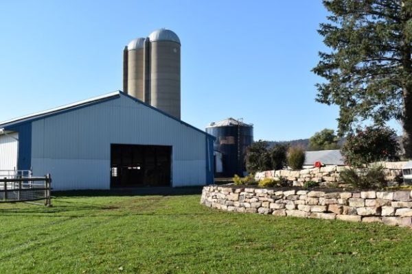 Omar Lapp Breeder Profile Pic (5)