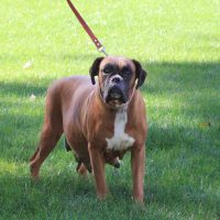 Colleen Boxer Dam (1) 
