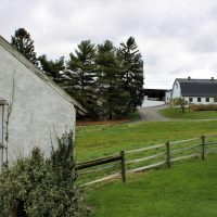 IMG_2990-200×200 