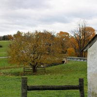 IMG_2991-200×200 