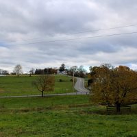 IMG_2994-200×200 (1) 